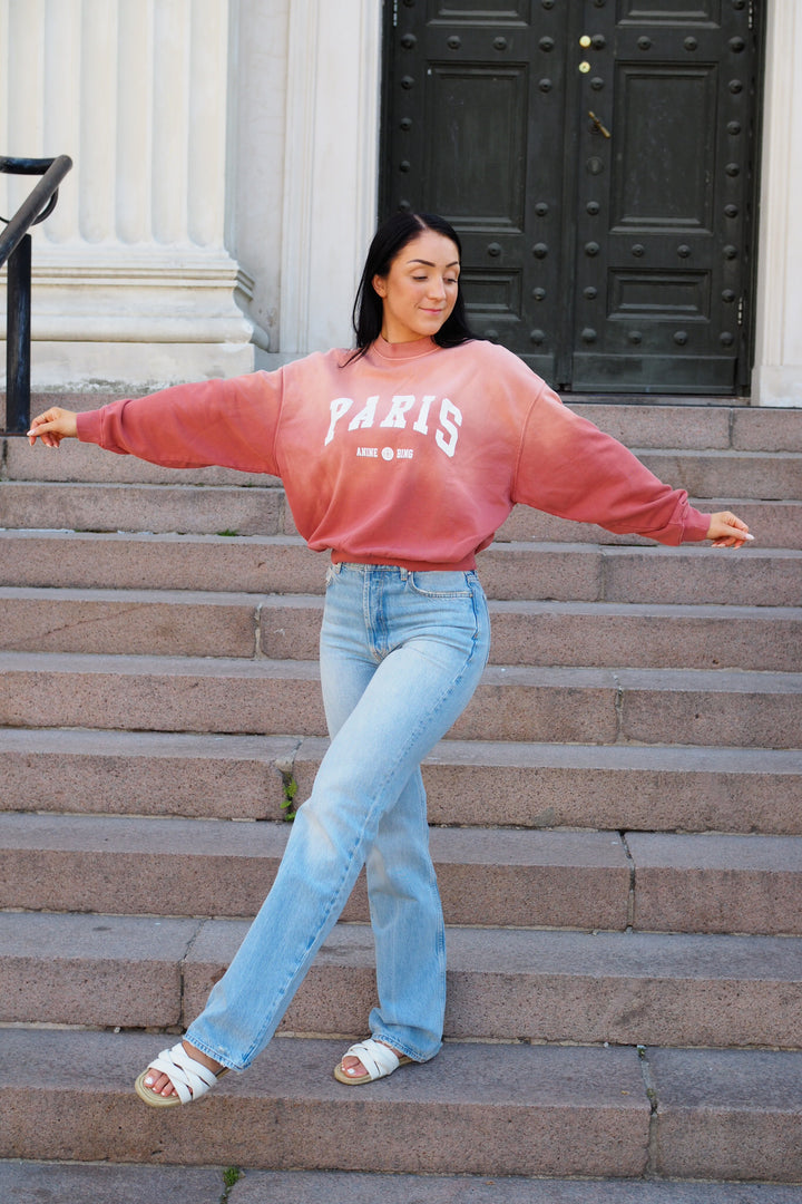 Anine Bing - Jaci Sweatshirt Paris washed faded terracotta