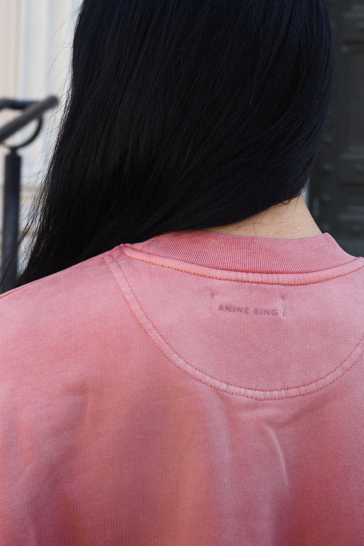 Anine Bing - Jaci Sweatshirt Paris washed faded terracotta