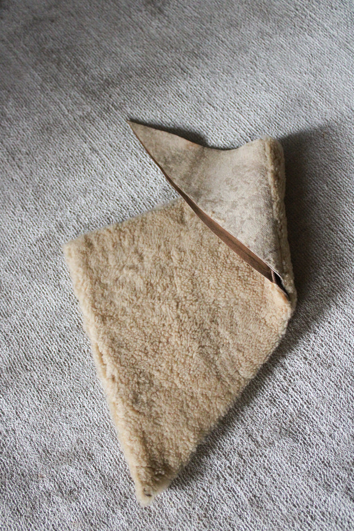 Toasties Bandana
