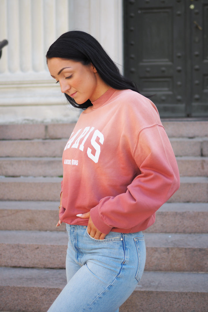 Anine Bing - Jaci Sweatshirt Paris washed faded terracotta