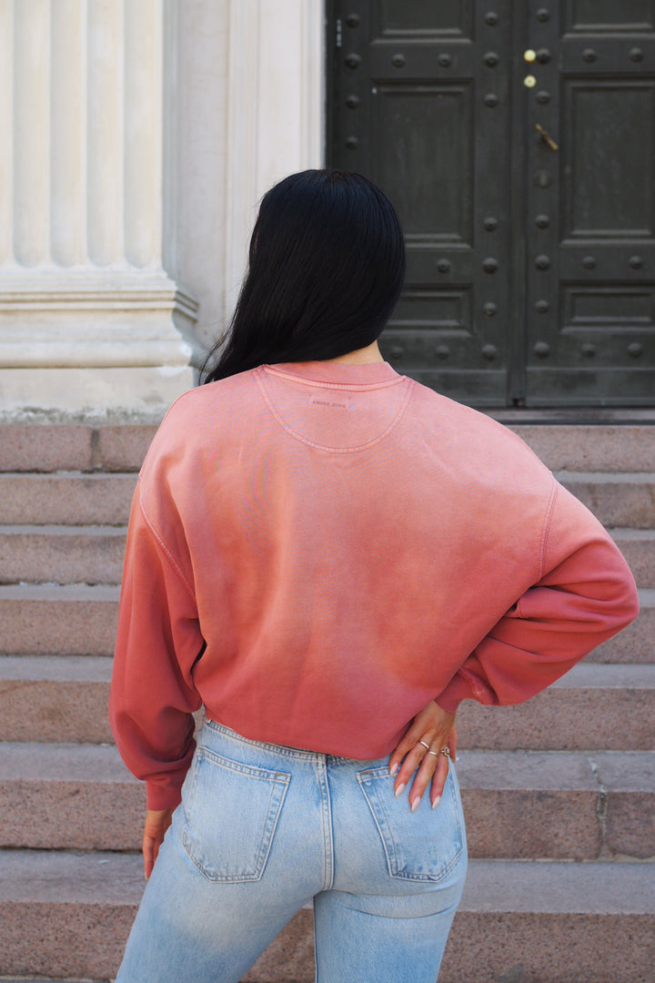 Anine Bing - Jaci Sweatshirt Paris washed faded terracotta